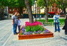 Seven Churches private guided turkey tours seven churches