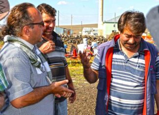 Who we are who we are customized turkey tours