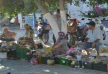 Bodrum Private Guide for a Tailored History and Coast Tour