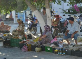 Bodrum Private Guide for a Tailored History and Coast Tour