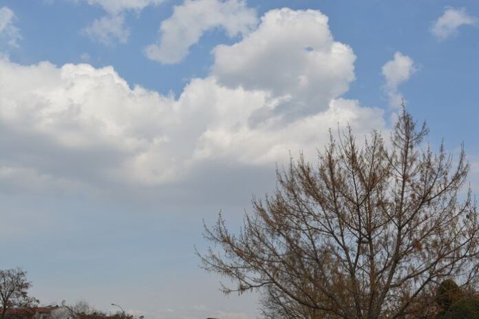 Konya_064